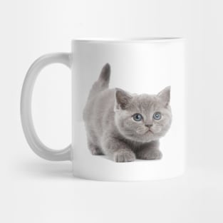 kitten cat love - cat lover Mug